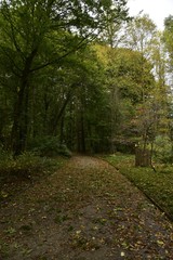 Chemin ombragé sous les feuillage des arbres divers au Jardin Botanique National de Belgique à Meise
