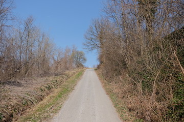 road in nature