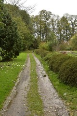 Fototapeta na wymiar Chemin assez boueux longeant le jardin des potirons ,au Jardin Botanique National de Belgique à Meise