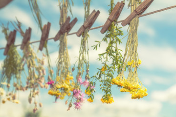 Different types of herbs dried in the shade on a rope against the blue sky. Shallow depth of field....
