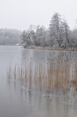 Jezioro zimą