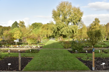 L'Herbetum avec ses plantes rares de collection en automne sous l'ombre ou la lumière du soleil aux Jardin Botanique National de Belgique à Meise