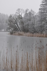 Krajobraz zimowy © Rafa