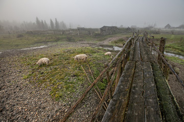 old wooden bridge in the village