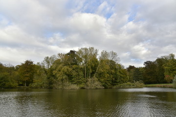 Fototapeta na wymiar La nature en automne autour de l'étang principal du Jardin Botanique National de Belgique à Meise