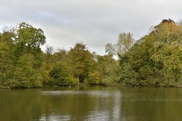 Fototapeta na wymiar La nature sauvage en automne sous un ciel gris à l'étang principal du Jardin Botanique National de Belgique à Meise