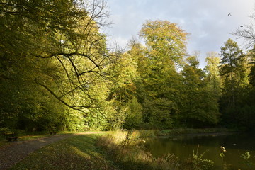 Obraz premium Rayons du soleil couchant sur les feuillage des arbres le long de l'étang principal du Jardin Botanique National de Belgique à Meise 