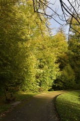 Chemin sous les feuillage dense vert-dorée au Jardin Botanique National de Belgique à Meise