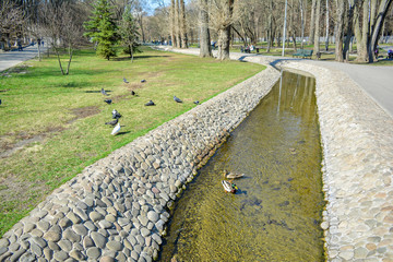 Spring Park with a water channel and wild ducks. Kharkov, Sarzhin Yar. Botanical Garden