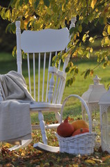 Jesienny relaks w ogrodzie - obrazy, fototapety, plakaty