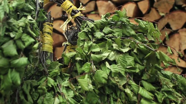 “Birch Broom” Bilder – Durchsuchen 186 Archivfotos, Vektorgrafiken und