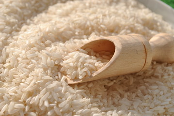 Ryż 