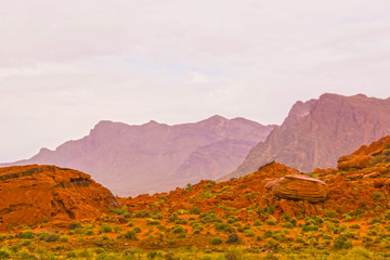 The Valley of Fire State Park, USA.