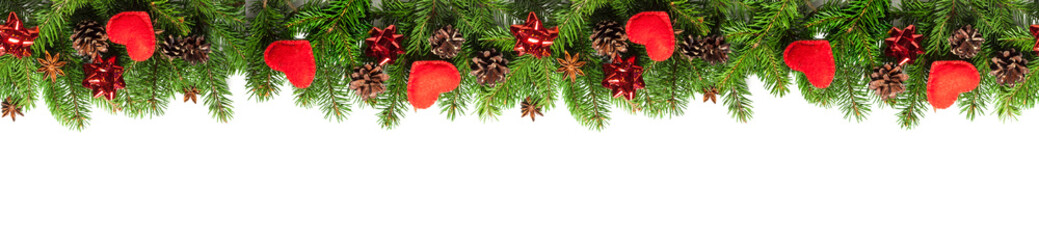 Evergreen branches on white