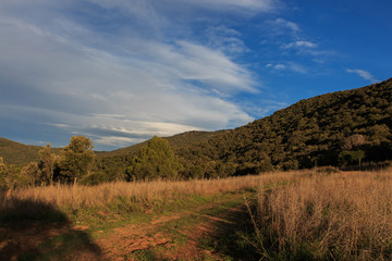 The colors of Autumn appear on the mountain, corollarizing it