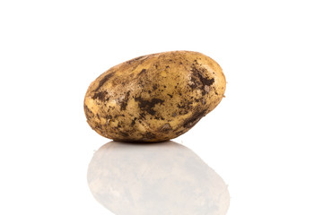 Dirty potato isolated on white background.