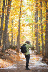 Fototapeta premium Castañar de el Tiemblo