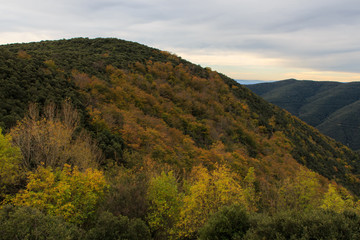 Fototapeta na wymiar The colors of Autumn appear on the mountain, corollarizing it
