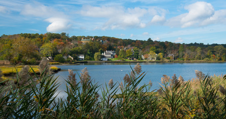 Fall in the Harbor