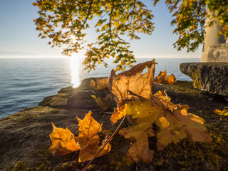 autumn at lake constance