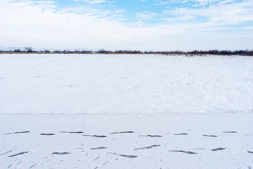 Footprints on fresh snow and snowy landscape