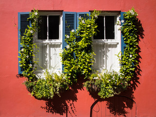 Colorful Windows with green vegetation around and red facade