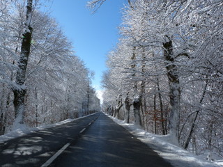 Carretera con arboles nevados en Navarra