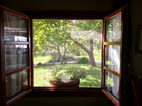 Vistas al jard&iacute;n desde la ventana