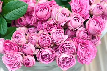 Pink roses flowers