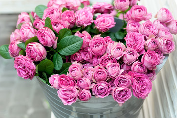 Pink roses flowers