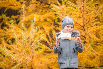 Portrait of adorable little girl outdoors at beautiful autumn day