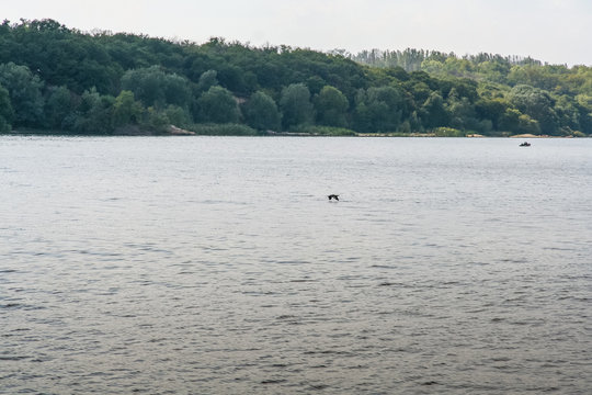 The island of Khortitsa in the middle of the Dnieper