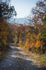 Autumnal landscape of Kartli region