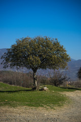 Autumnal landscape of Kartli region
