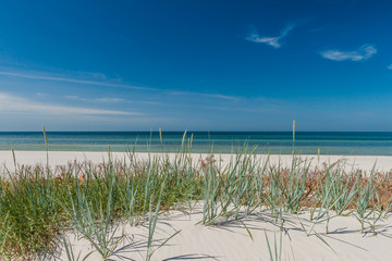 Fototapeta na wymiar Seashore dunes