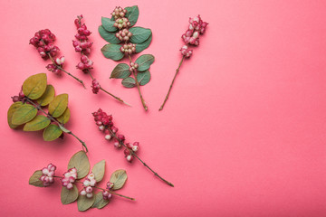 Stylized pattern of green leaves and red wild berries. Wild forest grass and leaves on a red background.