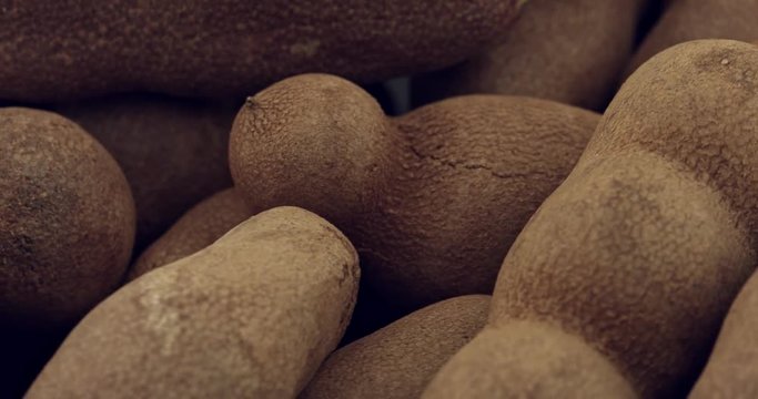 Ripe Tamarind fruits.Sweet ripe tamarinds.