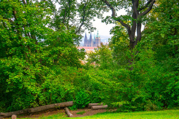Naklejka premium Prague Castle visible through thickets of trees in the Petrin Garden in the fall in Prague, Czech Republic