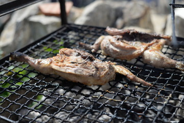 Delicious meat for grilling, close up on tasty dining barbecued background. Healthy cookout protein diet, tender roasted fresh outdoor background