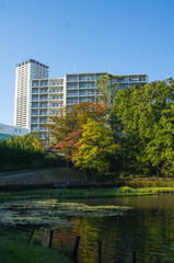 大阪・公園と街並み