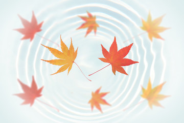 Obraz premium Japanese autumn maple leaf on water ripple