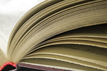 yellowed pages of an old book
