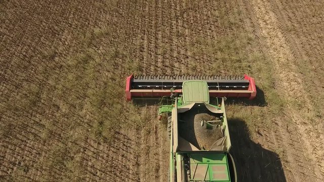 Aerial shot of a laborious combine harvester collecting sunflower seeds in summer. The land is covered with misty white and brown dust. The skyline is fine and fabulous