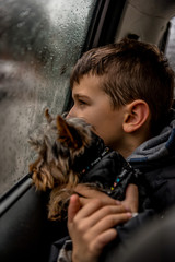 Young boy and his Yorkshire terrier puppy watching the rain fall through car window