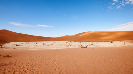 Fototapeta na wymiar Namibian desert landscape