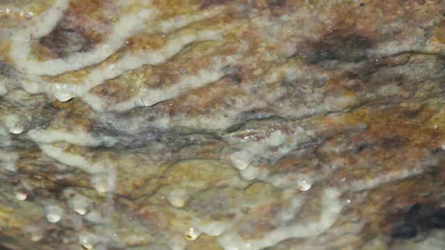 Caving, spelaeology, spelunking. Karst cave, dripstone, sinter, speleothem, dropstone. Initial stage of formation of stalactite.
