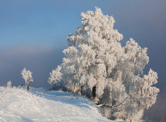 Winter in the city Irkutsk