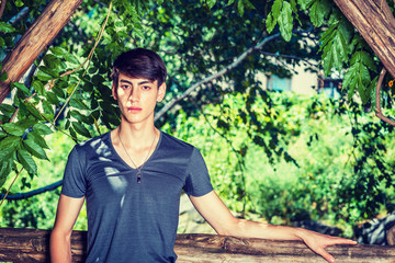 Growing with Nature. Asian American college student studying in New York. 20 years old young man wearing dark gray v neck T shirt, standing in green woods on campus, confidently looking forward. .