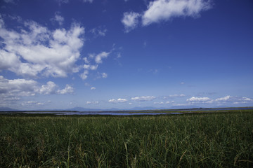 トドワラの風景　北海道