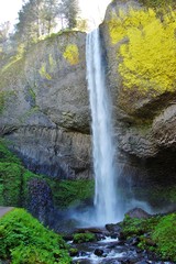 waterfall and moss